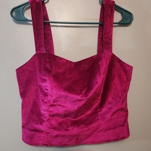 Anthropologie Emmanuelle Cropped Velvet Tank - Size 8